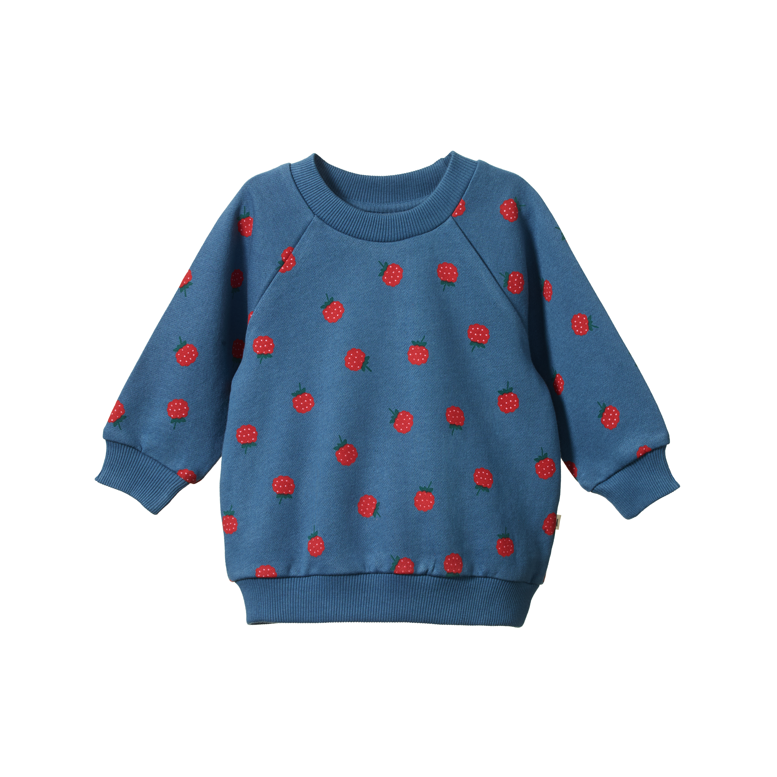 EMERSON SWEATER Raspberry Blue Print | Nature Baby