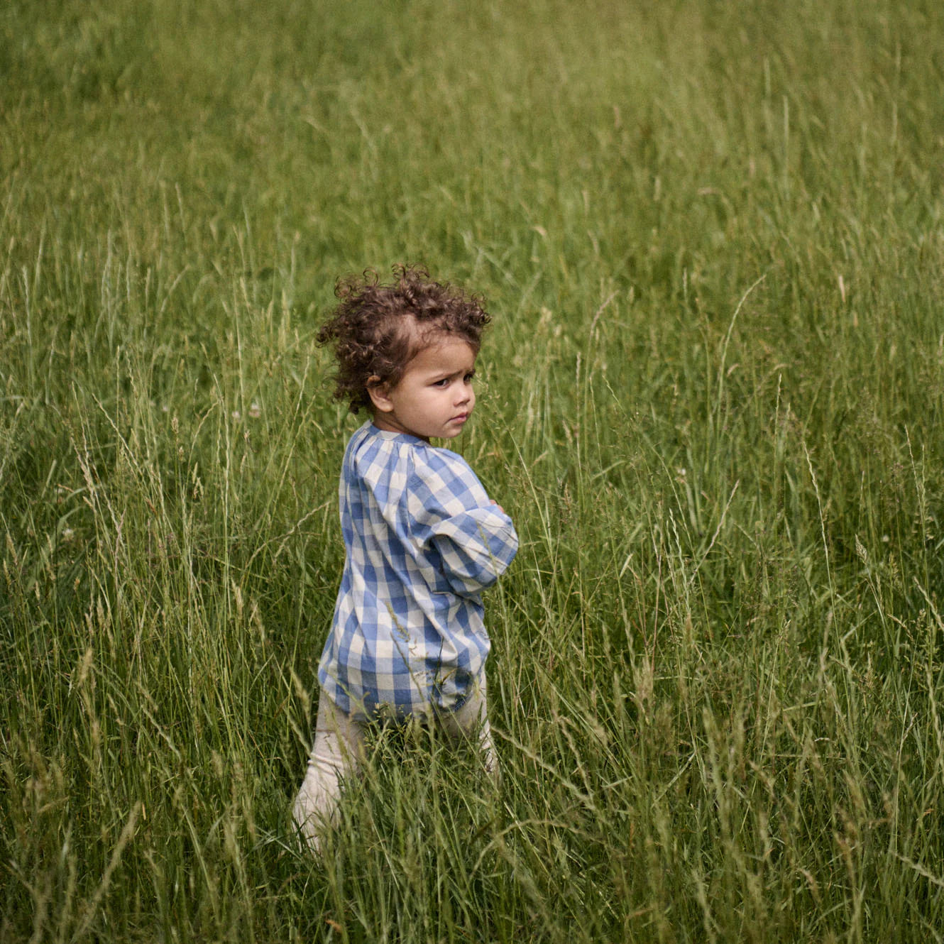 MEADOW BODYSUIT GINGHAM - Bluebelle Check | Nature Baby