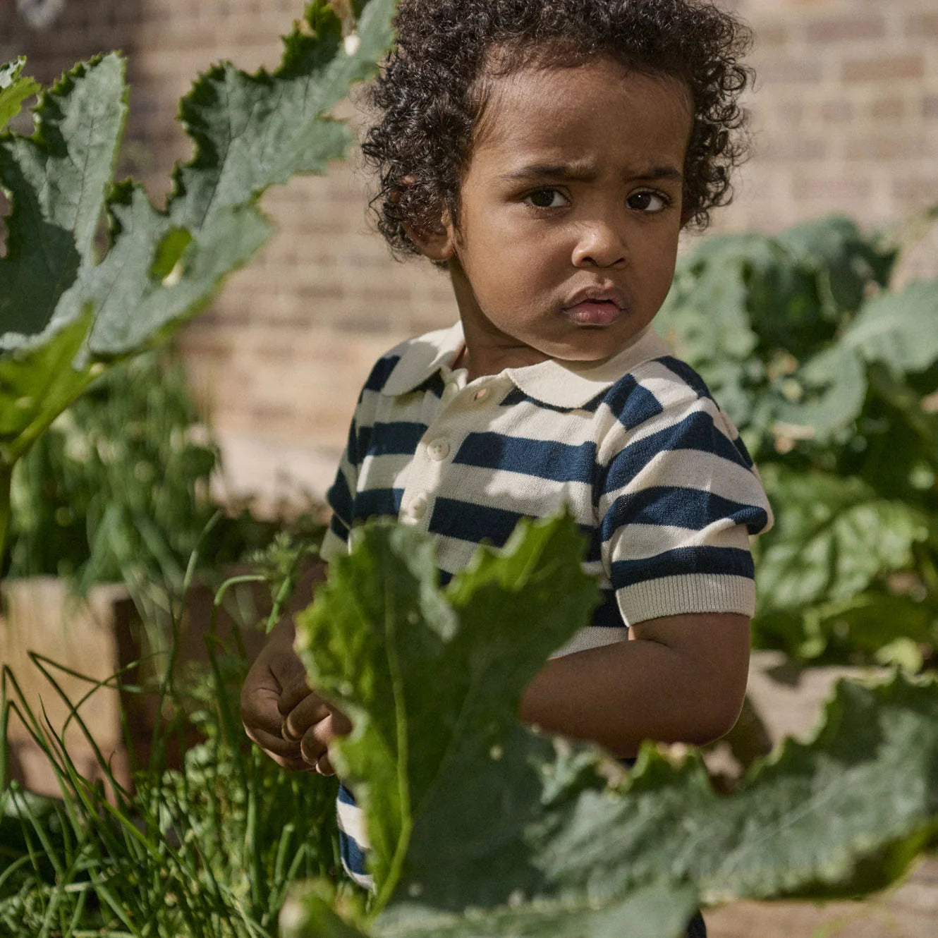 STEVIE POLO - Navy Bold Stripe | Nature Baby