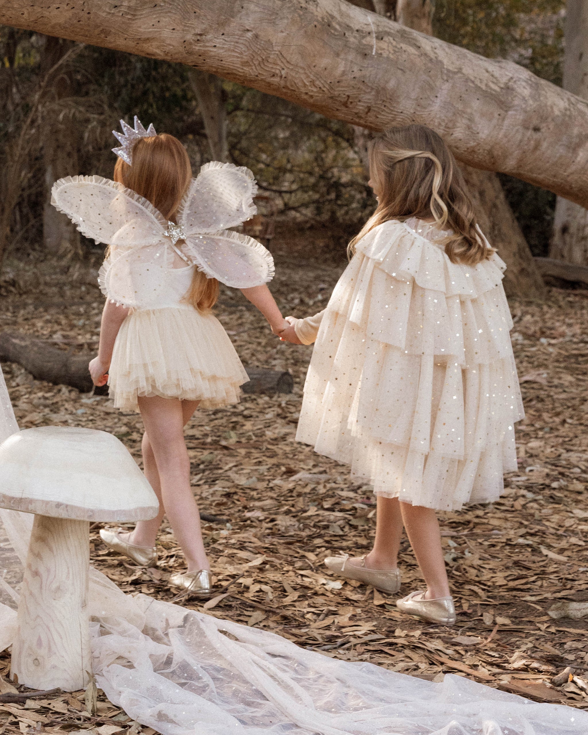 WINGS | CHAMPAGNE STARS | Noralee