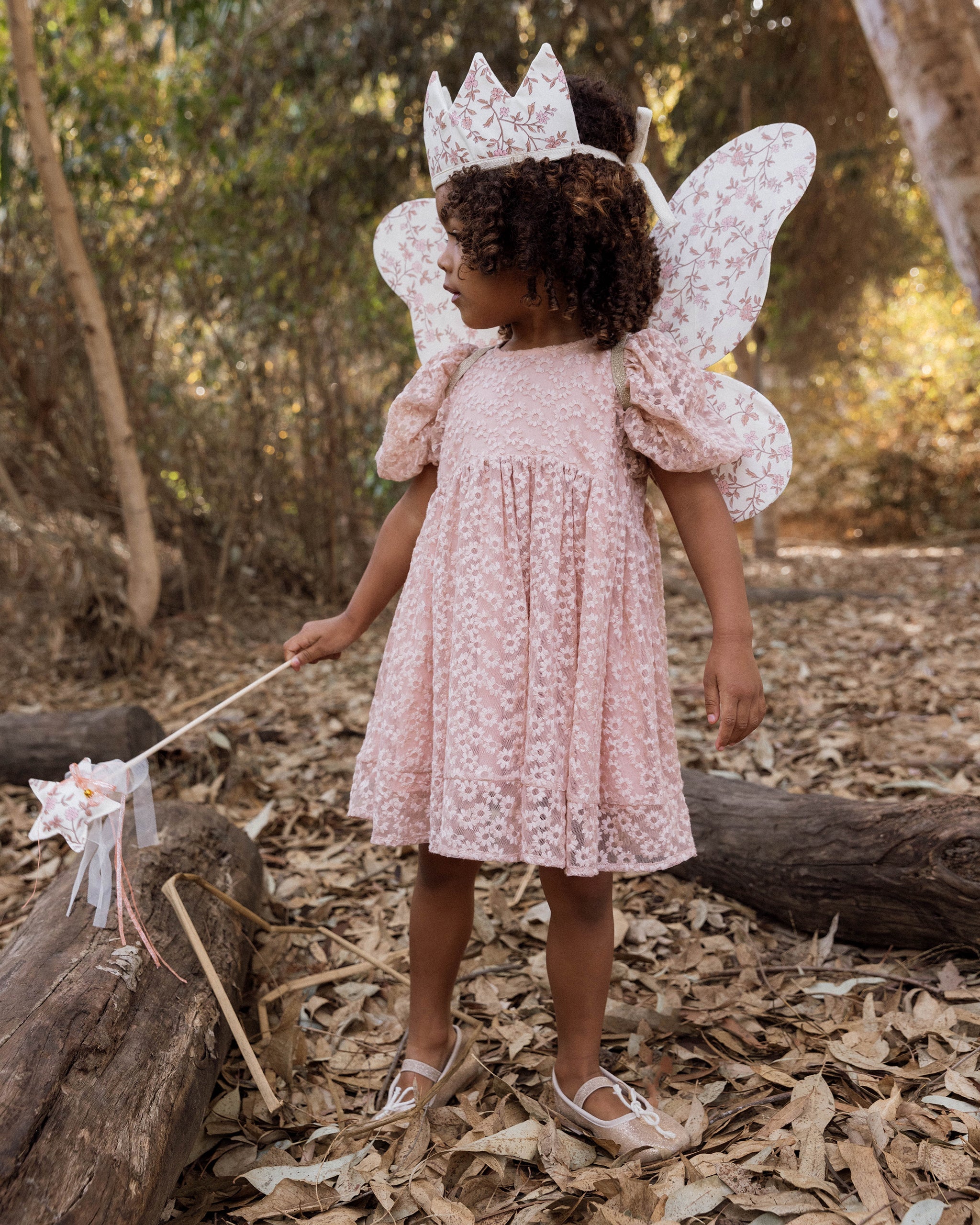 WINGS | ROSE MEADOW | Noralee