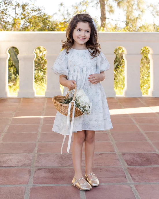 Luna Dress - Mist English Rose | Noralee