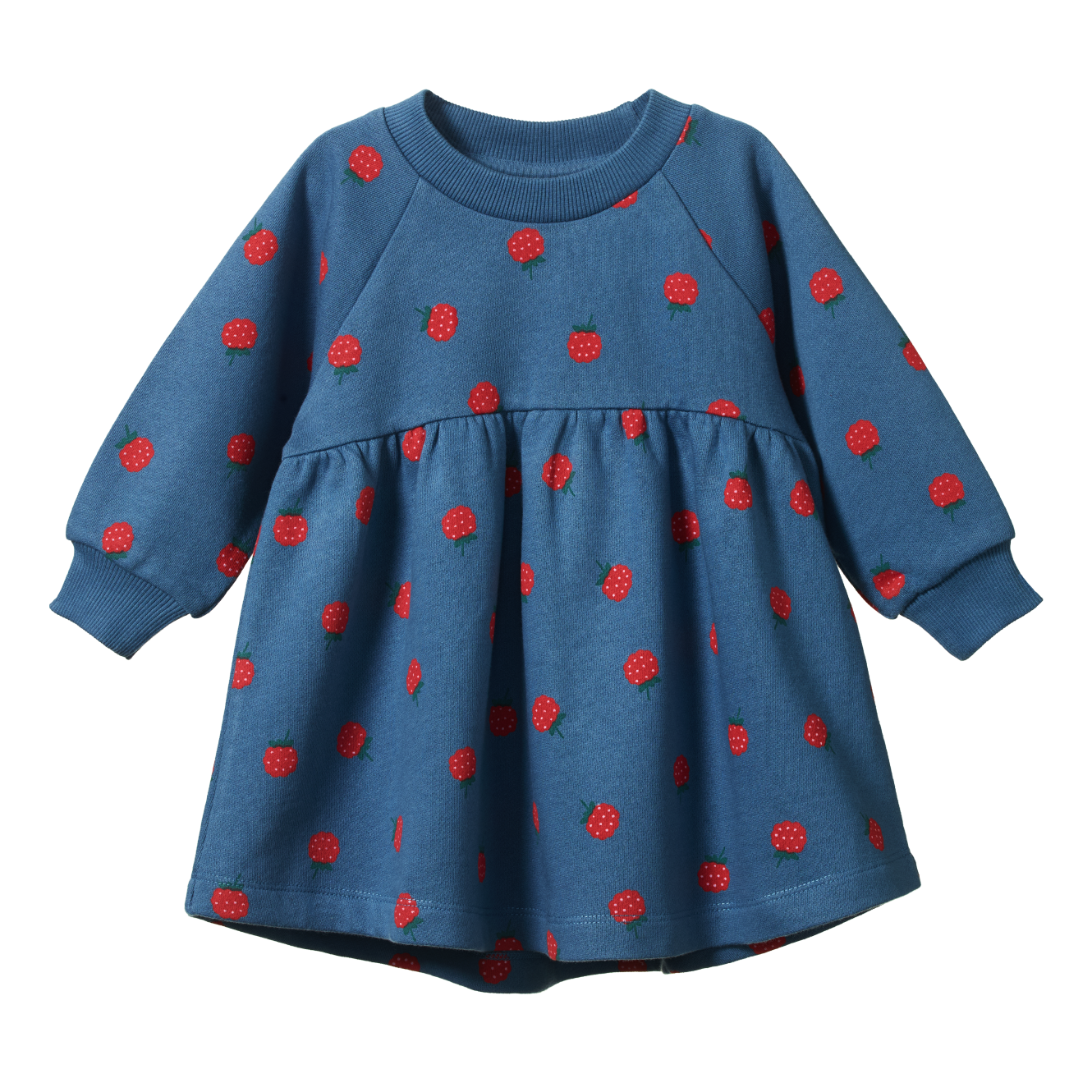 INES DRESS Raspberry Blue Print | Nature Baby