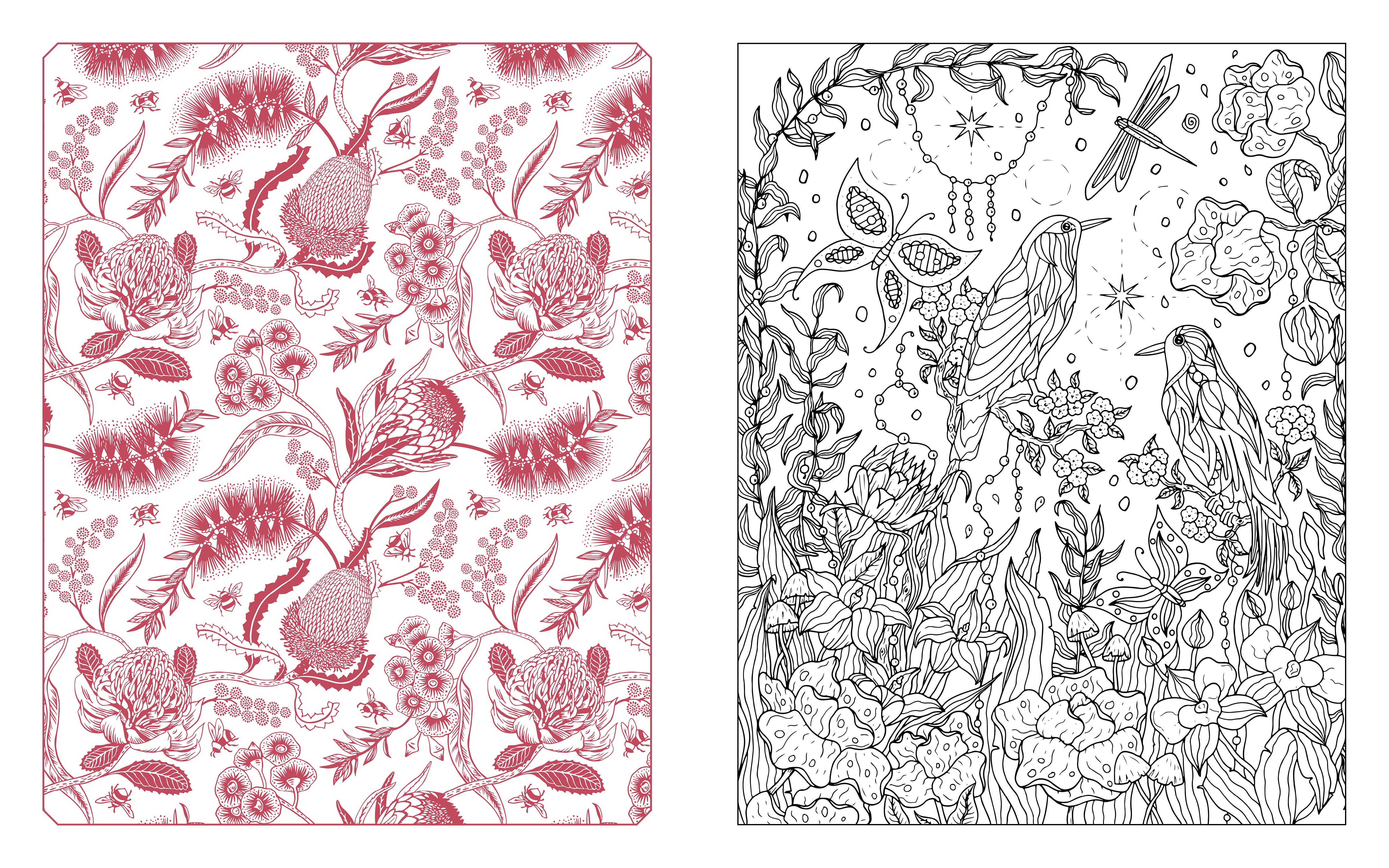 Butterflies, Bees & Dragonflies Coloring Book | Editors of Chartwell Books