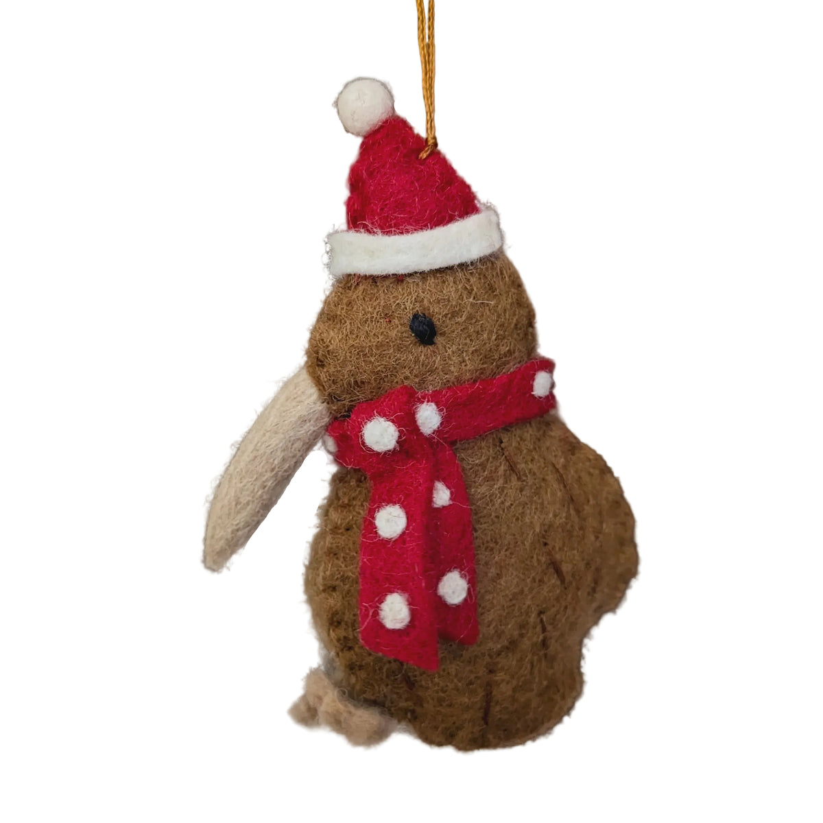 Kiwi Bird with Hat & Scarf | Pashom