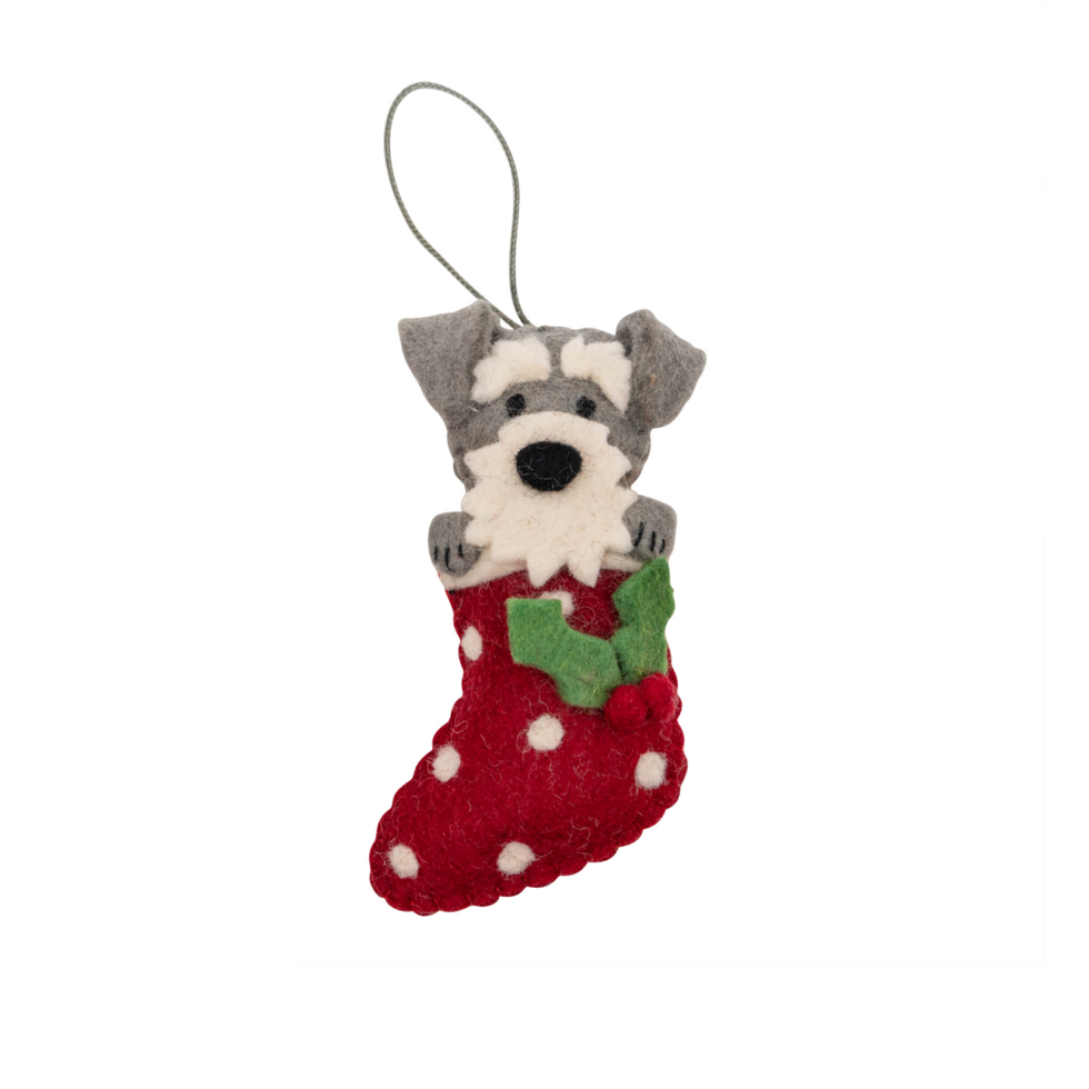 Schnauzer in Stocking | Pashom