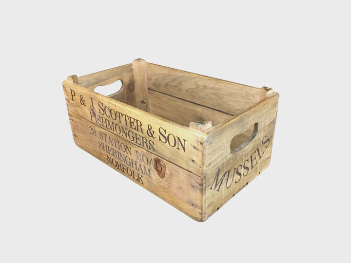 XL Box | Blue Goose Imports