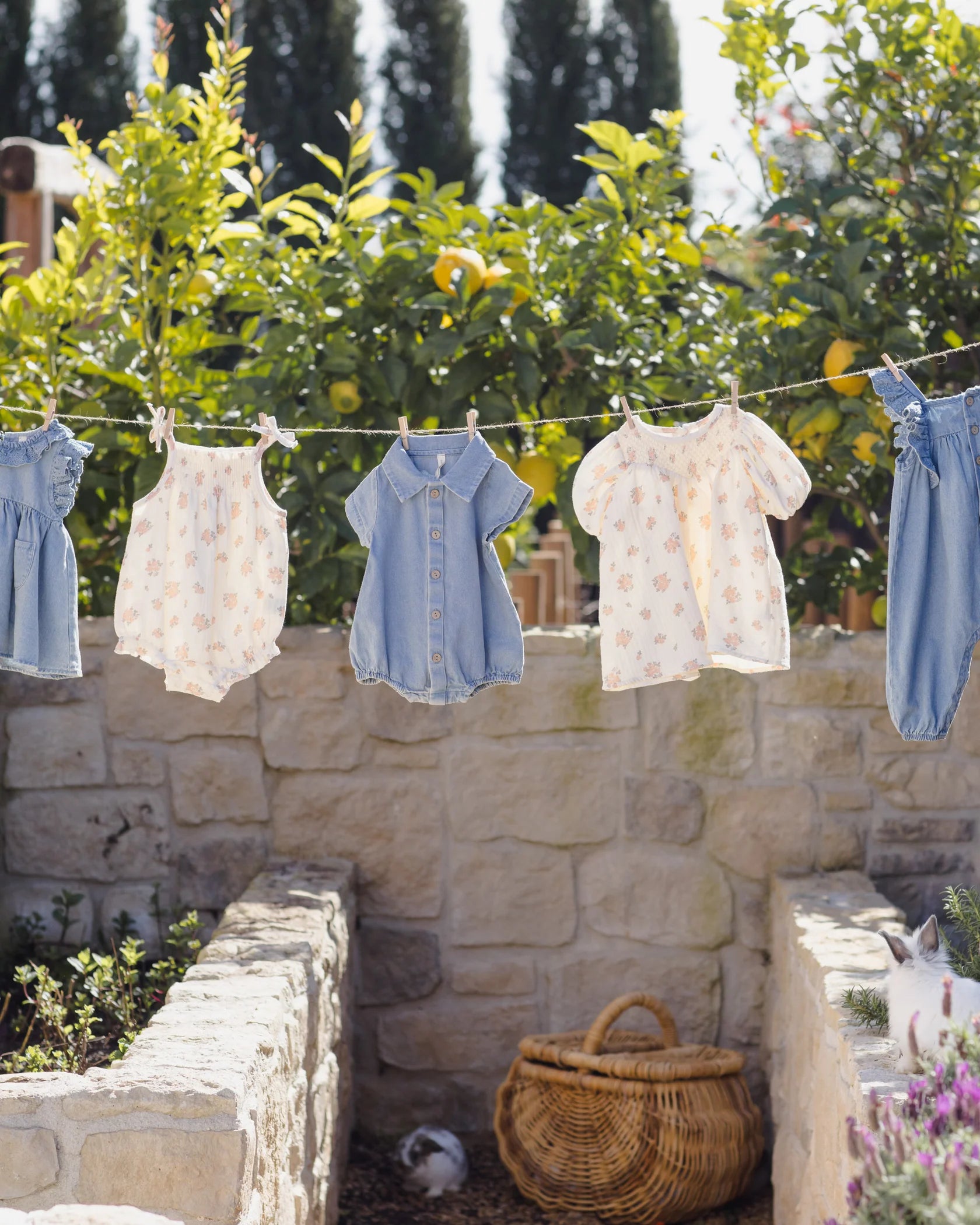 Carina Dress - Garden Rose - Ivory | Quincy Mae