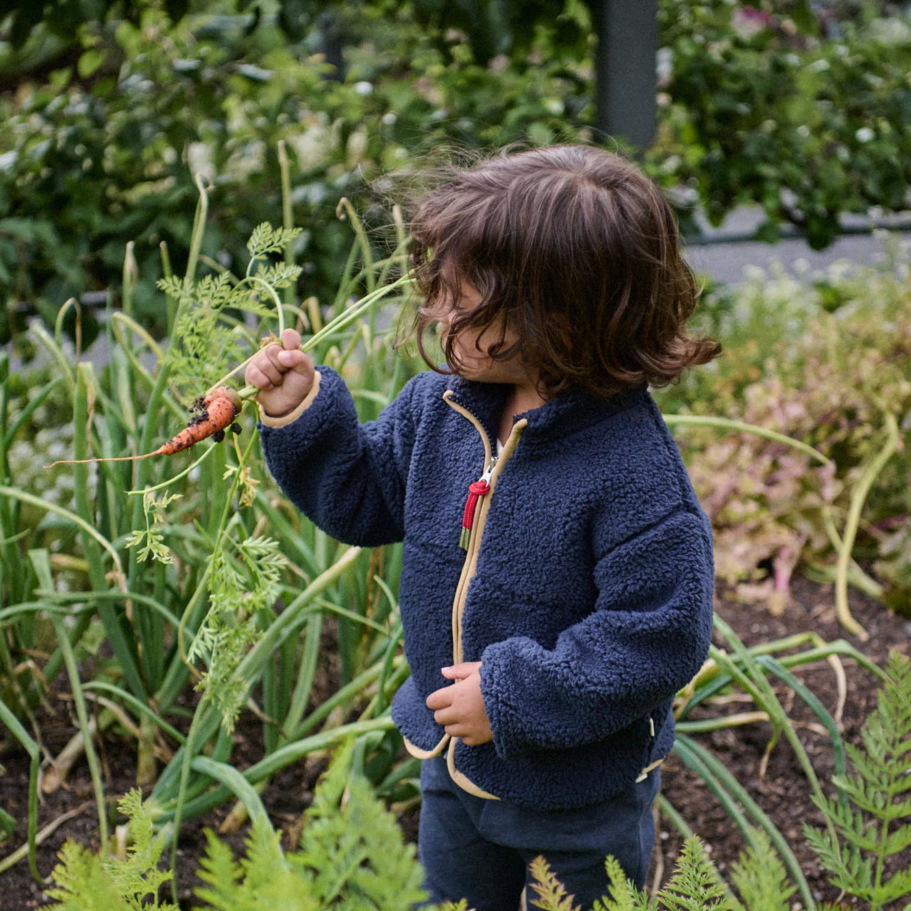 RANGER JACKET - Navy | Nature Baby