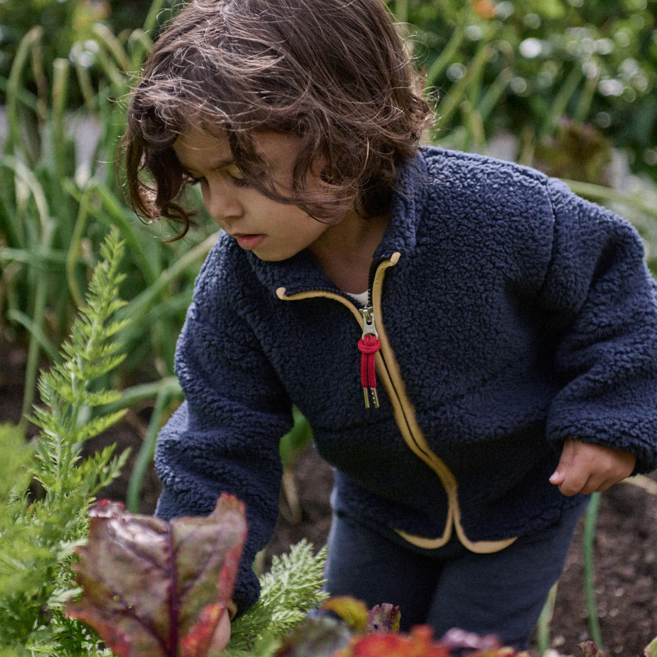 RANGER JACKET - Navy | Nature Baby