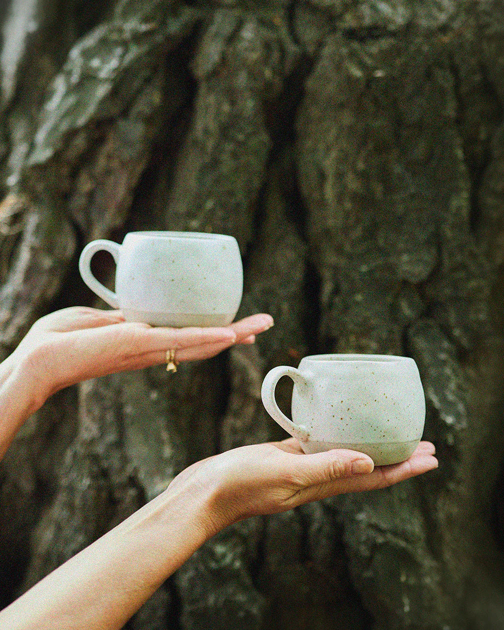 Mineral Mugs Set / Salt | Robert Gordon