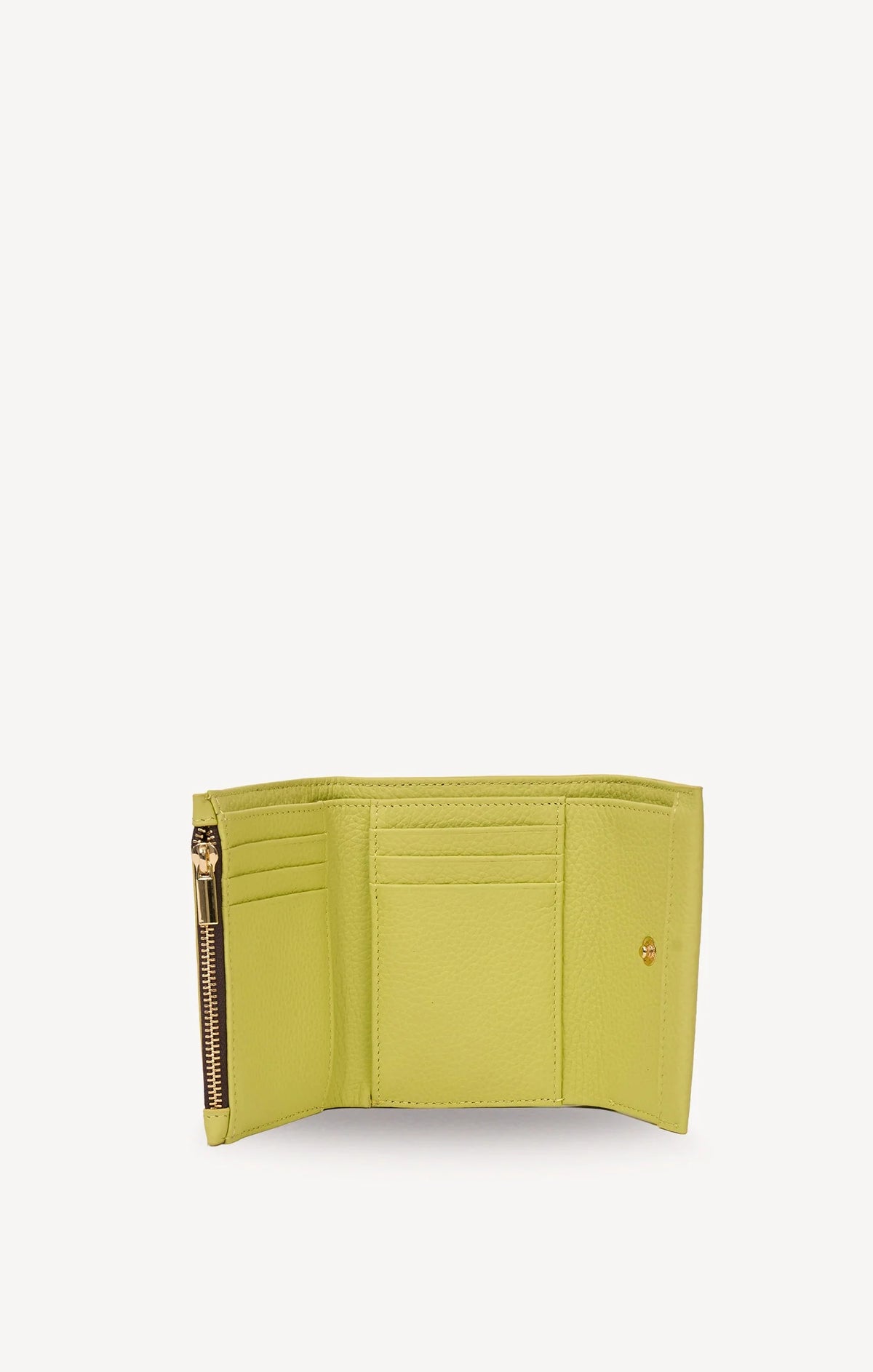 Pico Wallet -  Pistachio | Saben
