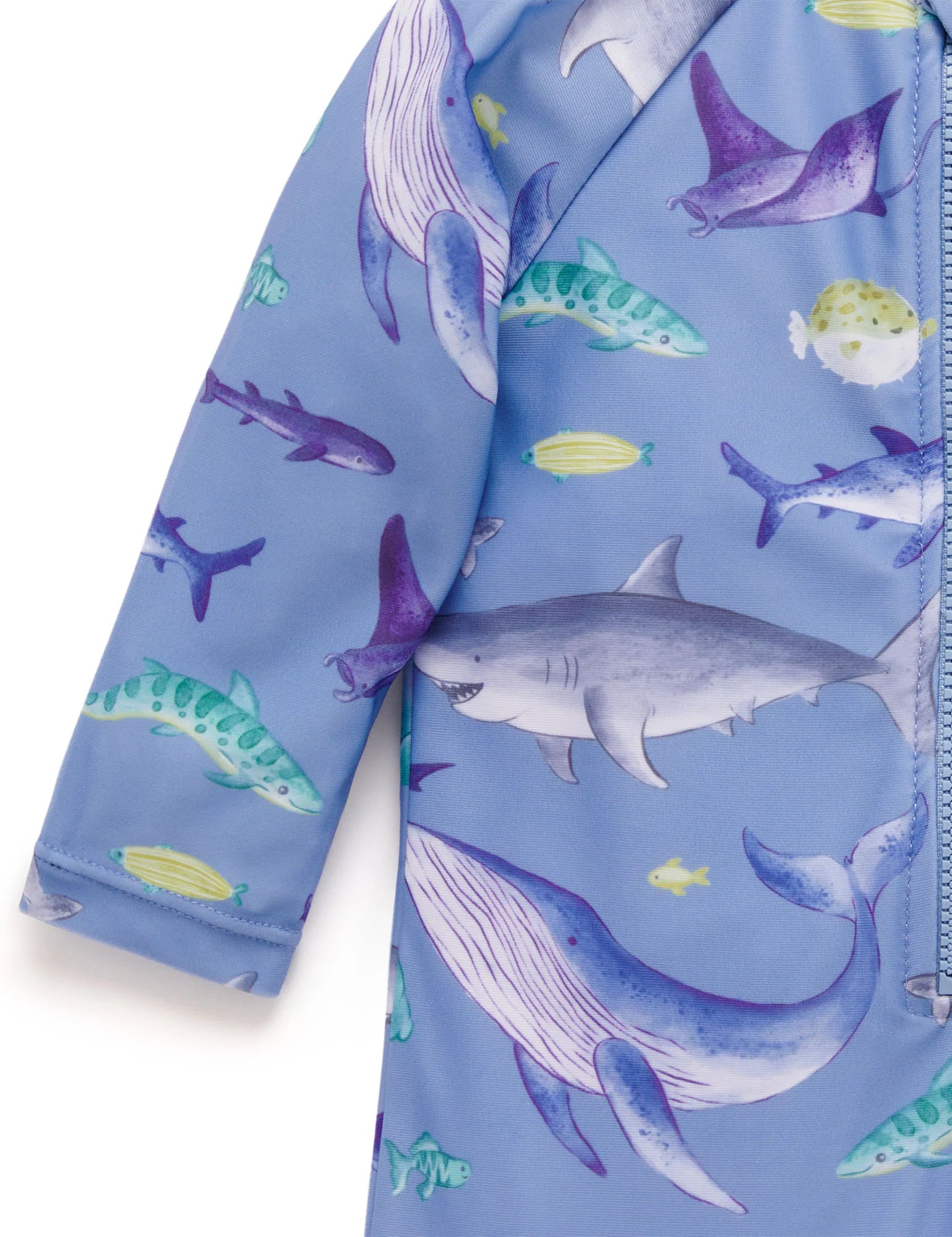 Long Sleeve Rashie Sunsuit Shark | Purebaby