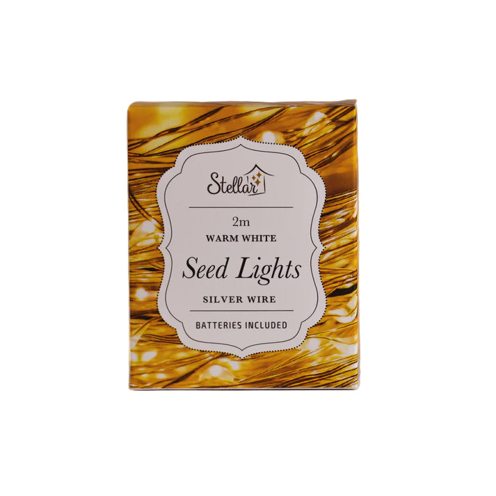 2m Silver Warm White 20 LED Seed Lights String | Stellar Haus