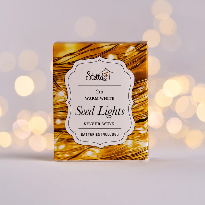 2m Silver Warm White 20 LED Seed Lights String | Stellar Haus