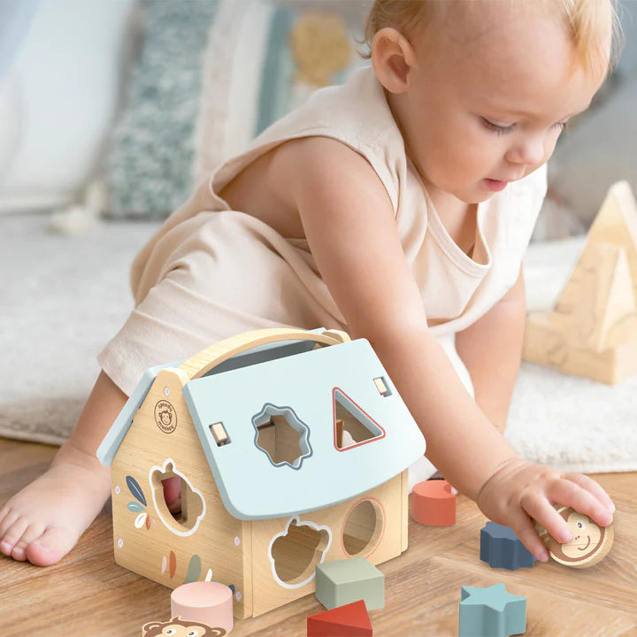 House Shape Sorter - 8 Blocks | Speedy Monkey