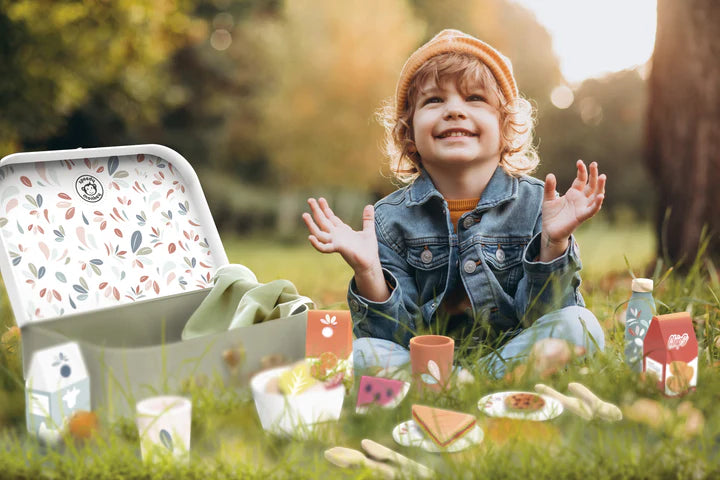 Picnic Basket | Speedy Monkey