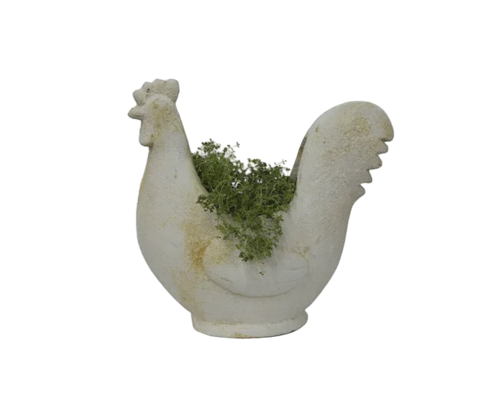 Chook Flower Pot | French Country