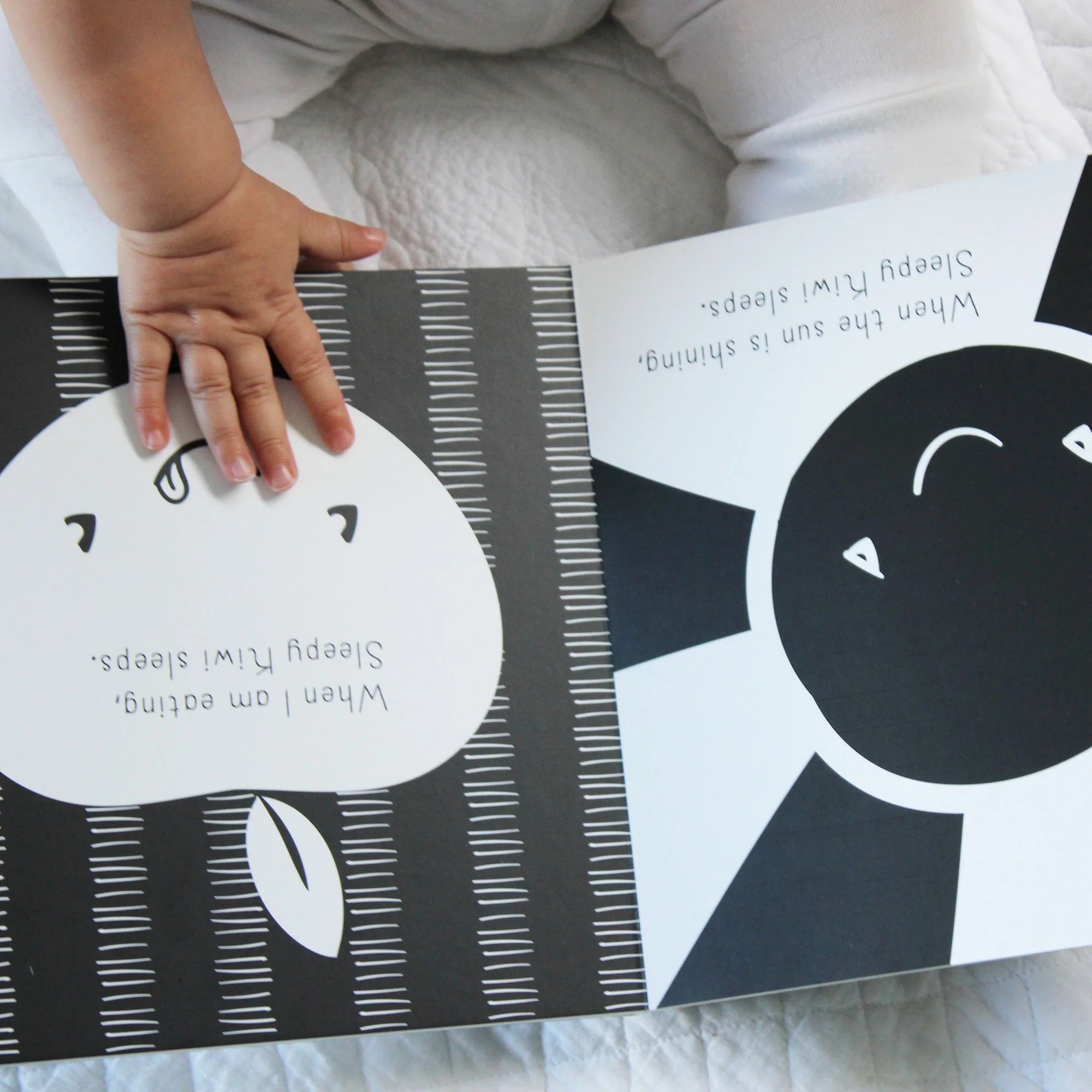 Sleepy Kiwi - Board Book | Kat Quin
