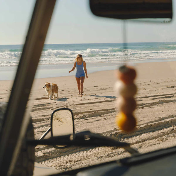 Sun Seeker Set - Coconut + Lime | Smelly Balls