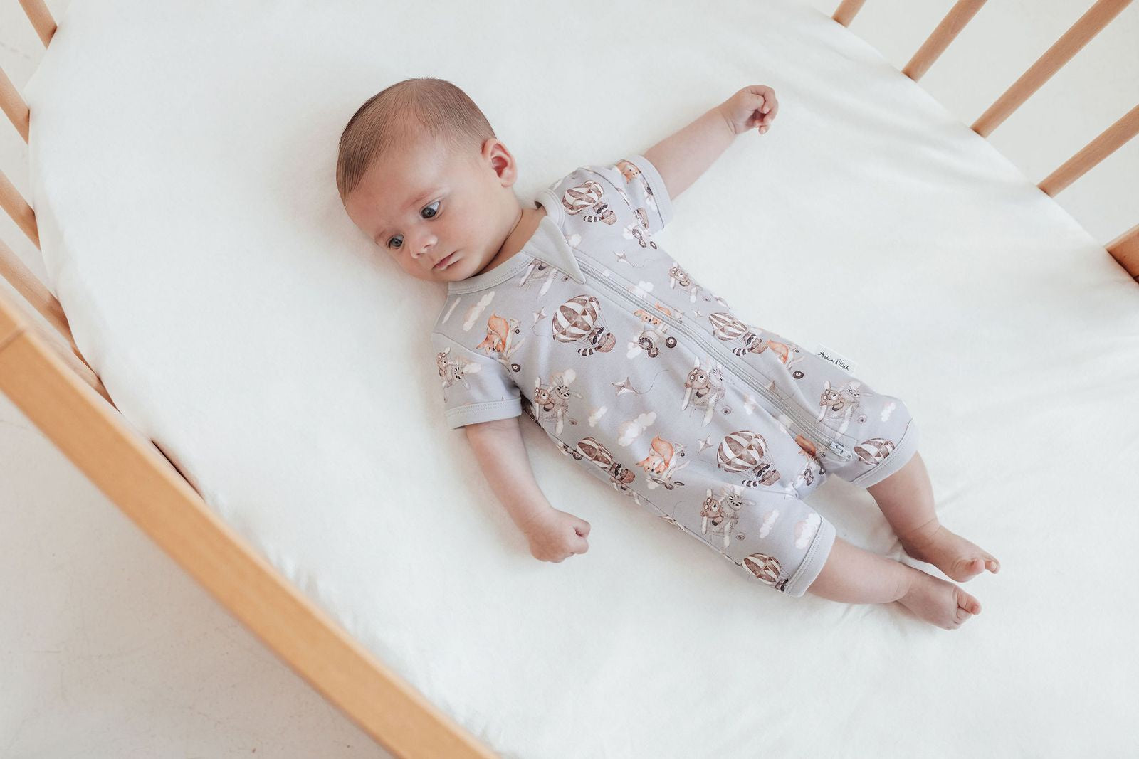 Flying Friends SS Zip Romper || Blue | Aster & Oak