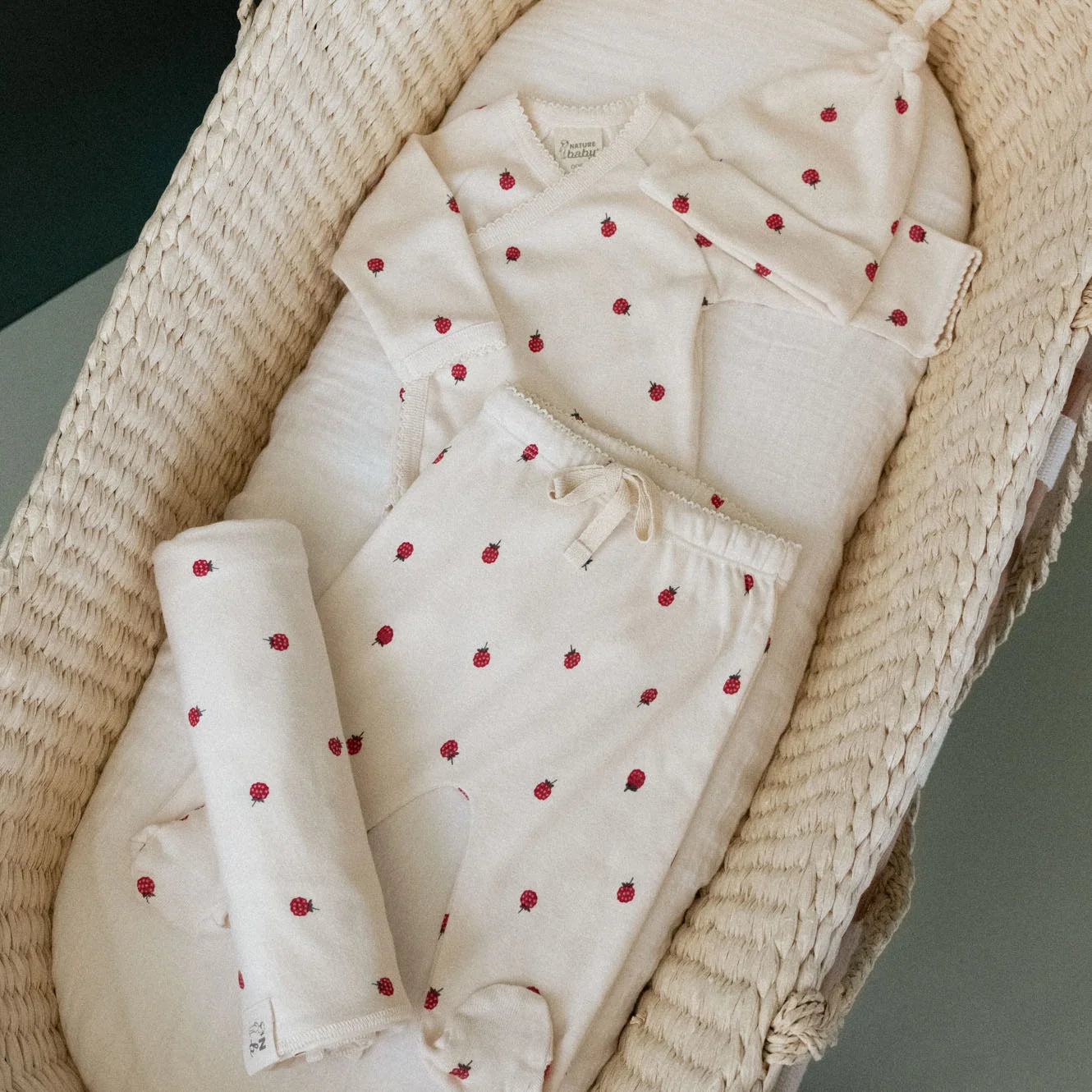 WELCOME HOME BUNDLE - Raspberry Print | Nature Baby