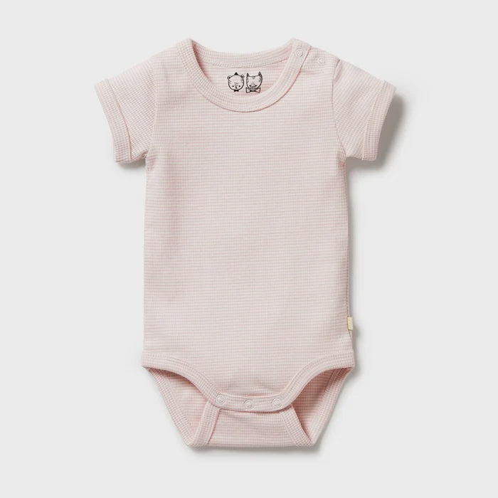Organic Stripe Rib Bodysuit - Cantaloupe - Organic Stripe Rib