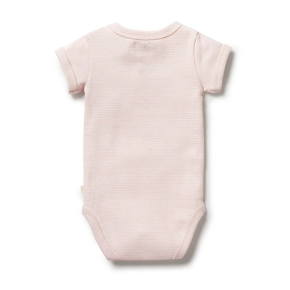 Organic Stripe Rib Bodysuit - Cantaloupe - Organic Stripe Rib | Wilson + Frenchy