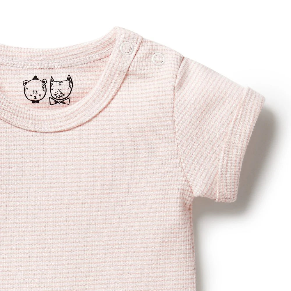Organic Stripe Rib Bodysuit - Cantaloupe - Organic Stripe Rib | Wilson + Frenchy