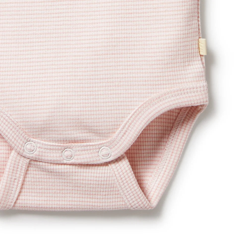Organic Stripe Rib Bodysuit - Cantaloupe - Organic Stripe Rib | Wilson + Frenchy