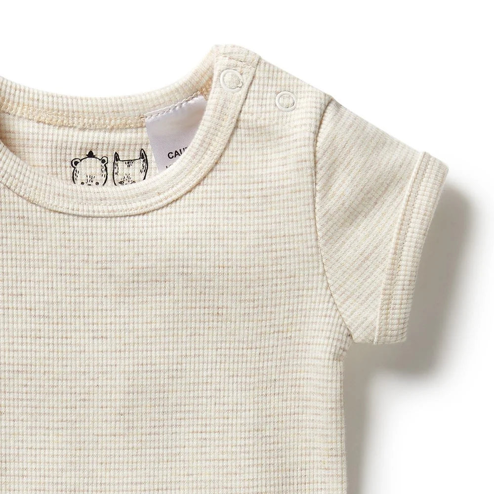 Organic Stripe Rib Bodysuit - Oatmeal | Wilson + Frenchy