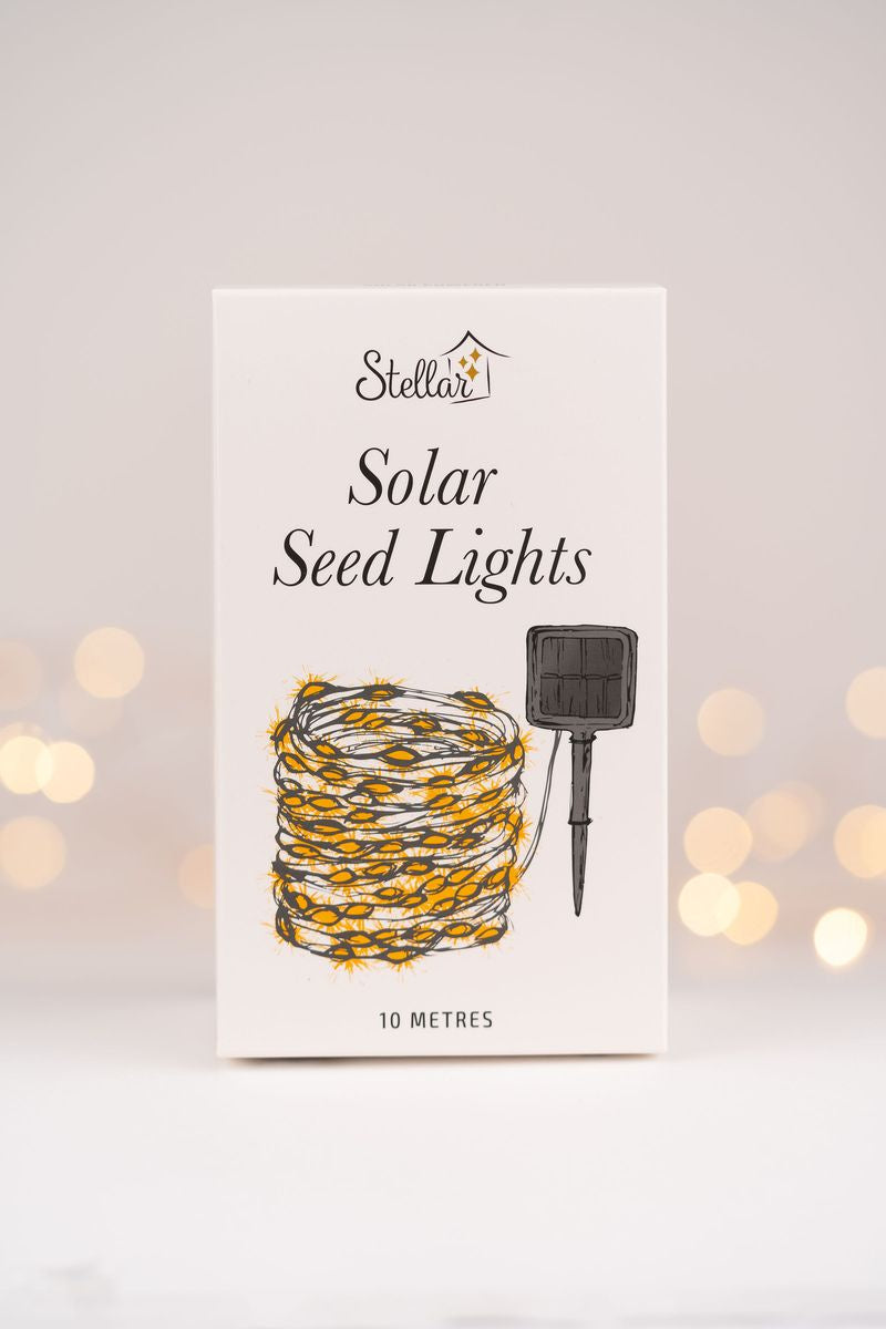 Silver Warm White Solar Seed Lights | Stellar Haus