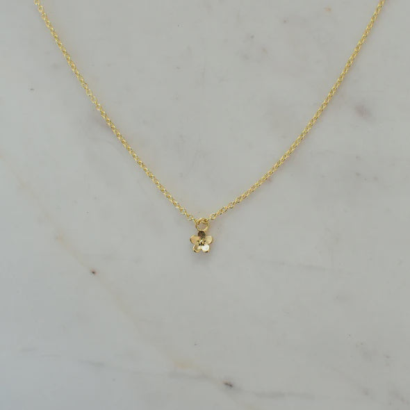 Daisy Day Necklace | Sophie Store