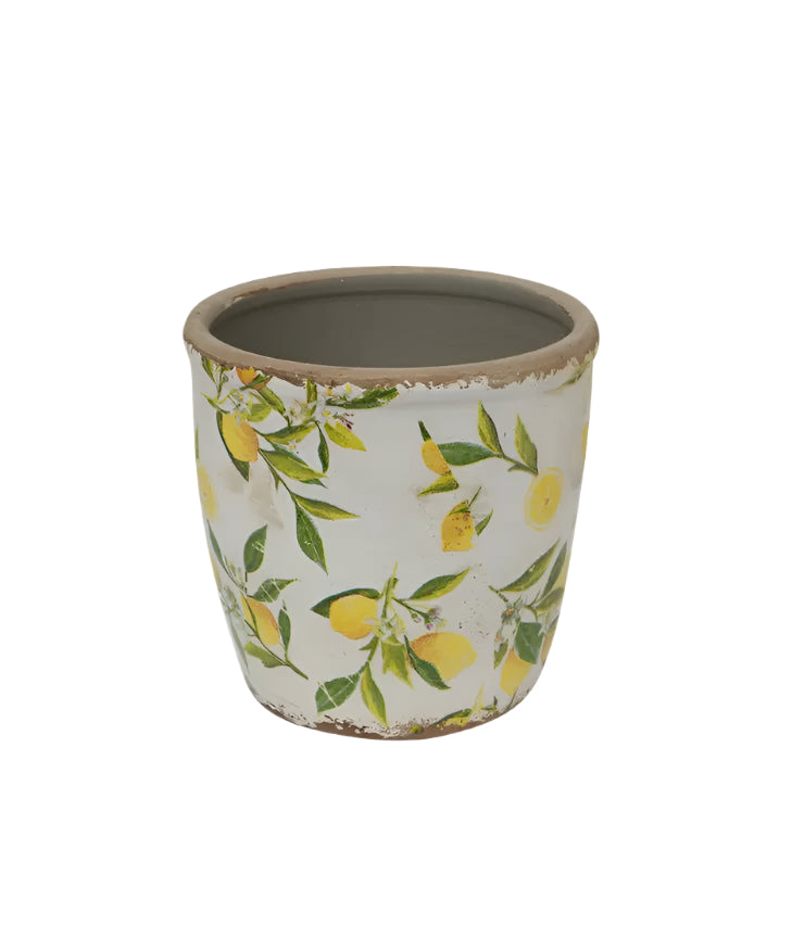 Botanical Lemon Pot Large |French Country