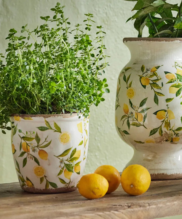 Botanical Lemon Pot Large |French Country