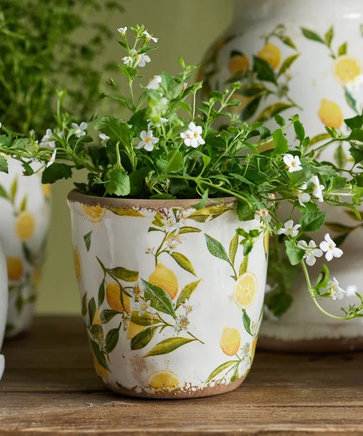 Botanical Lemon Pot Small | French Country
