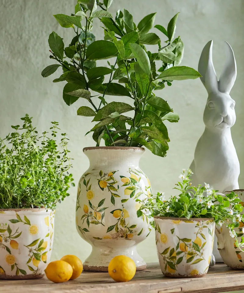 Botanical Lemon Urn | French Country