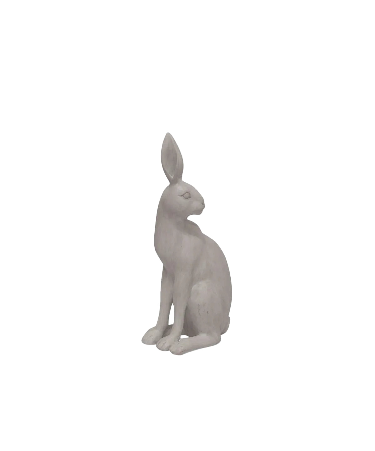 Harold the Hare Turning Grey | French Country