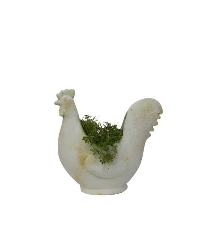 Chook Flower Pot | French Country