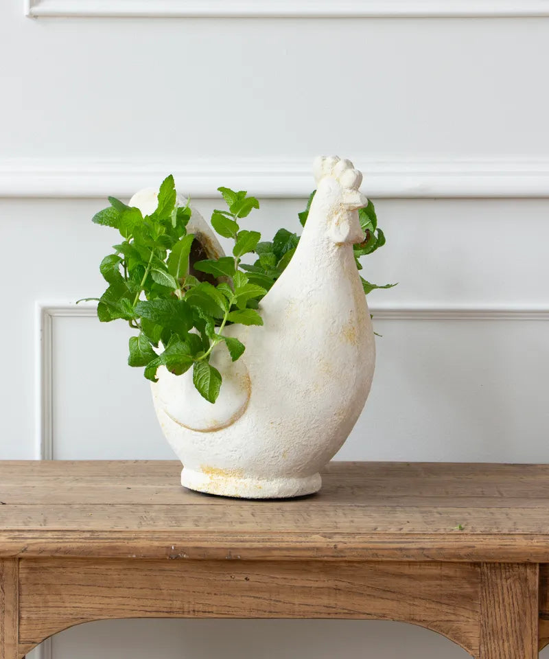 Chook Flower Pot | French Country