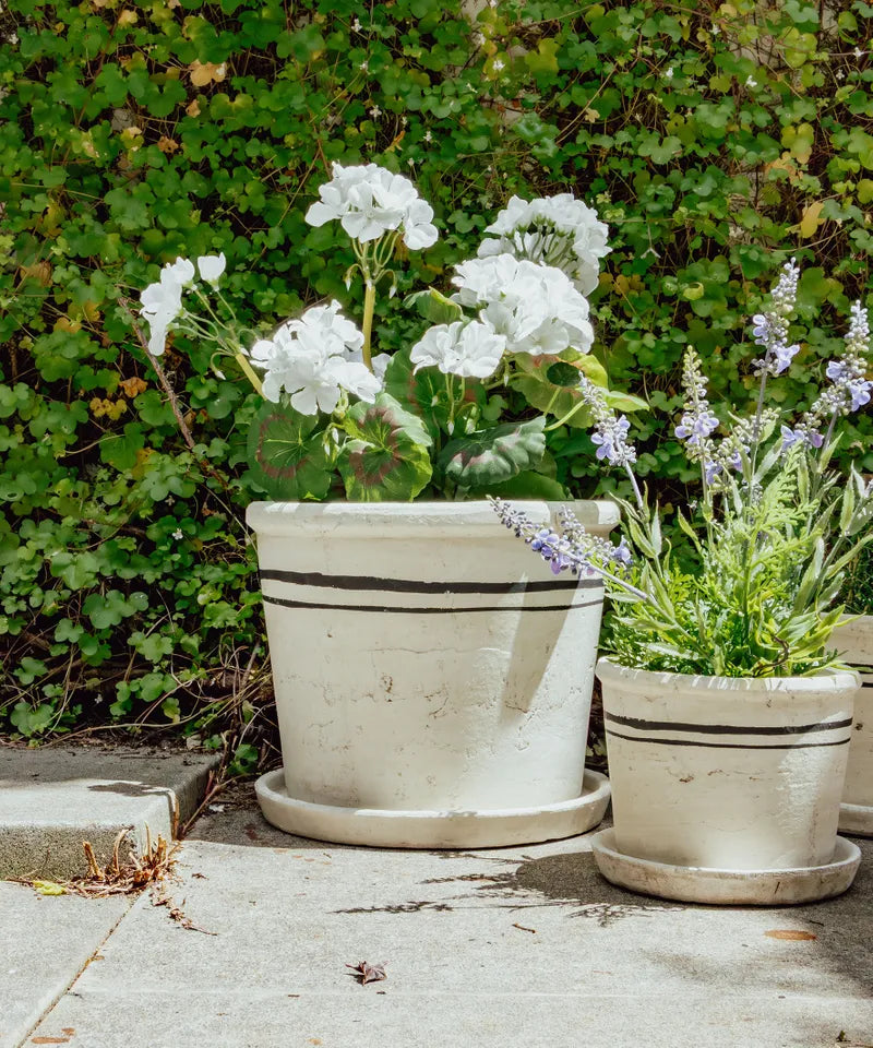 Lisbon Herb Pot - Large | French Country