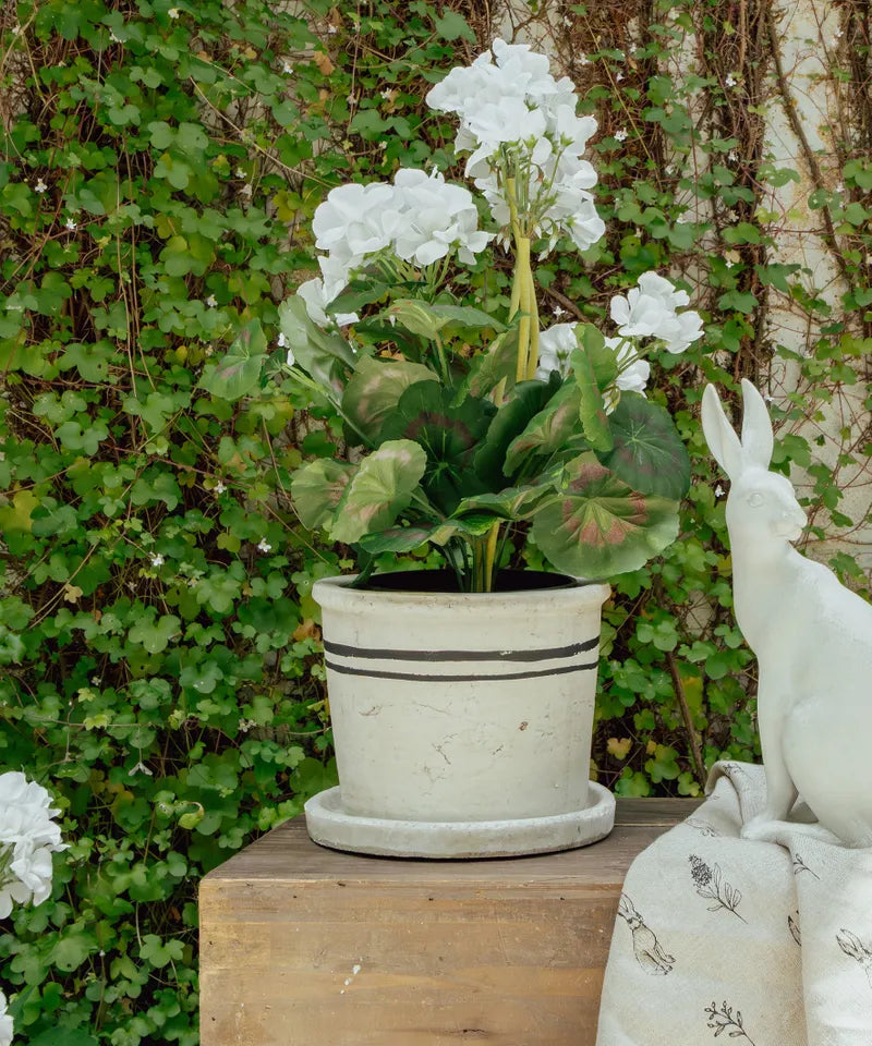 Lisbon Herb Pot - Medium | French Country