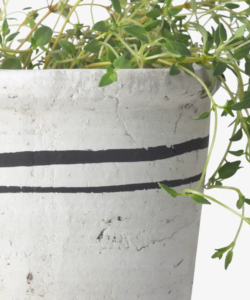 Lisbon Herb Pot - Small | French Country