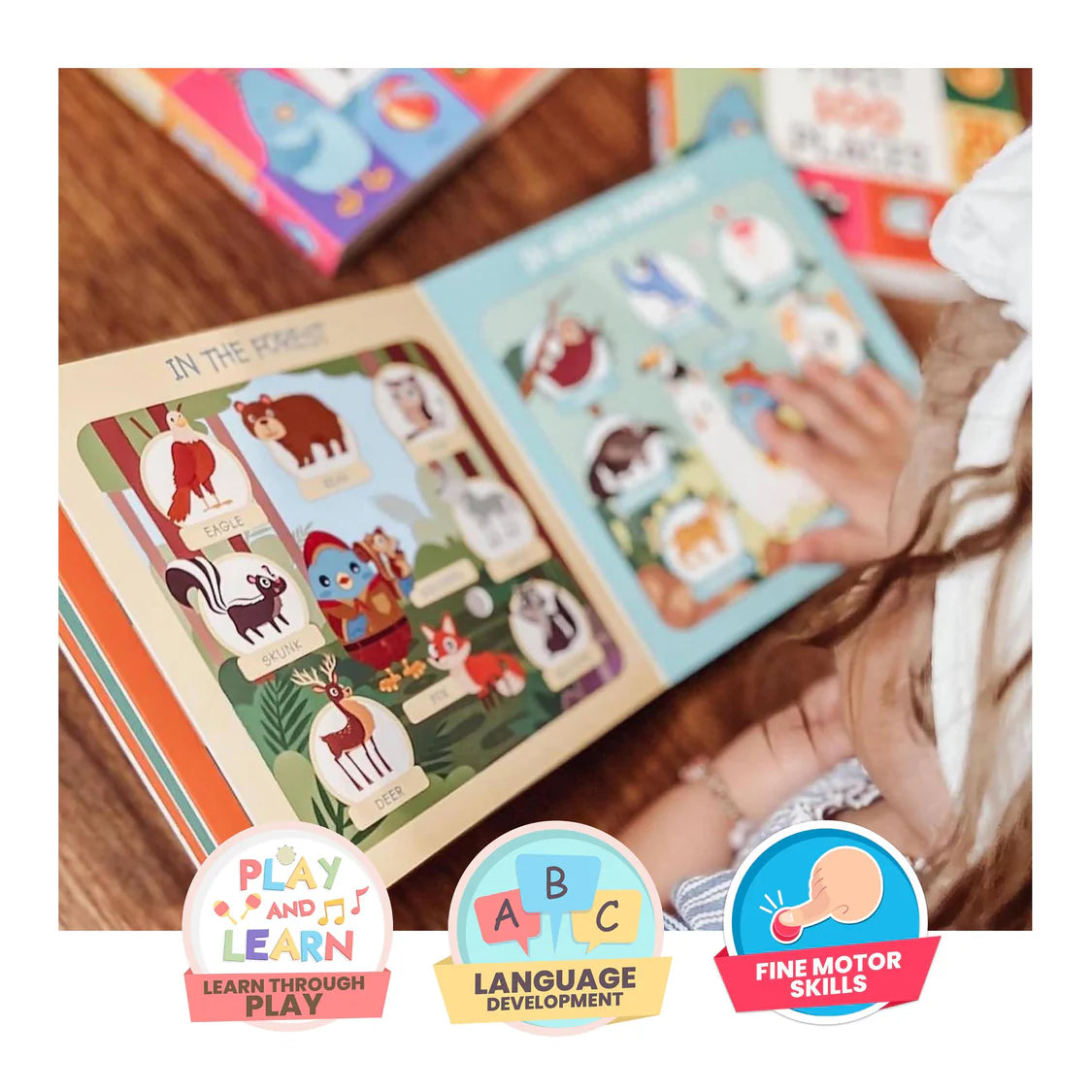 First 100 Animals Multi-Coloured | Ditty Bird