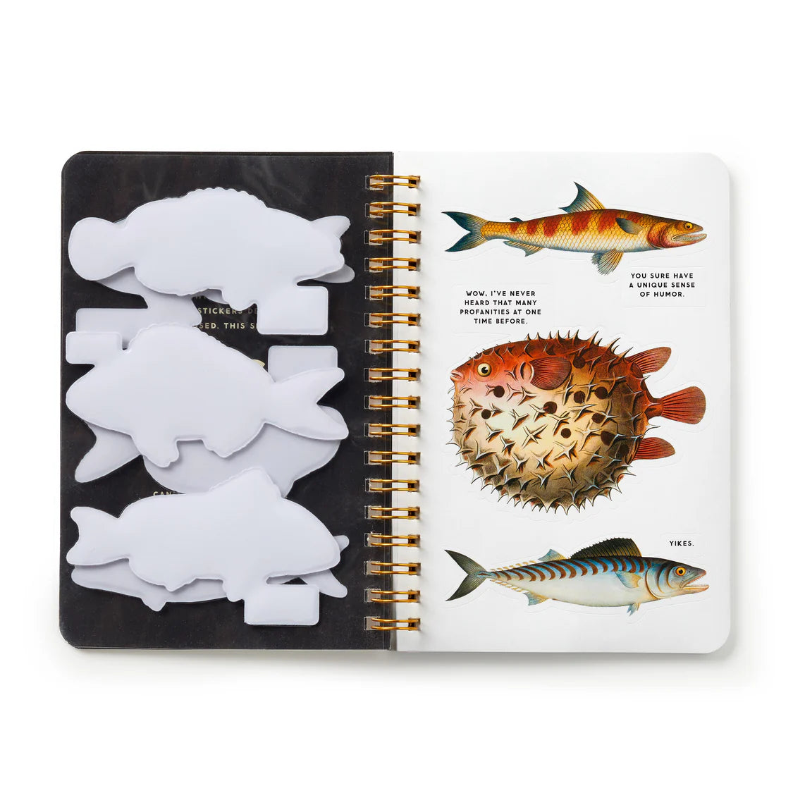 Judgy Fish Sticker Book Multi-Coloured | Brass Monkey