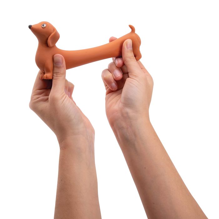 Assorted Stretchy Sausage Dog  | Discovery Zone
