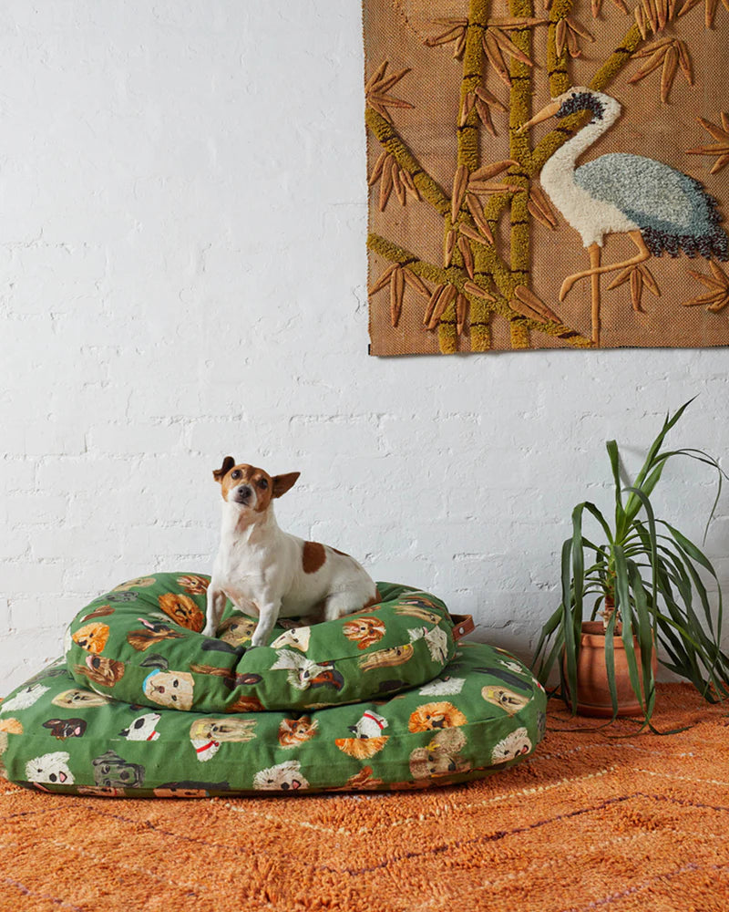 Dog Park Dog Bed Large | Kip & Co