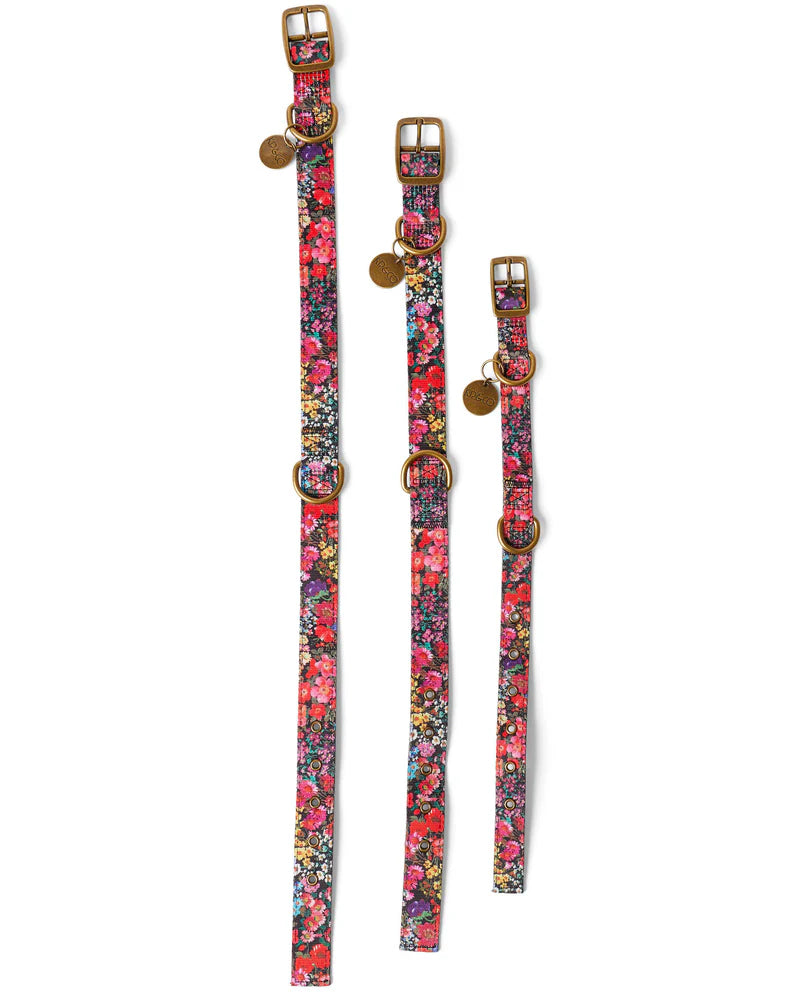 Dog Collar - Forever Floral Black | Kip & Co