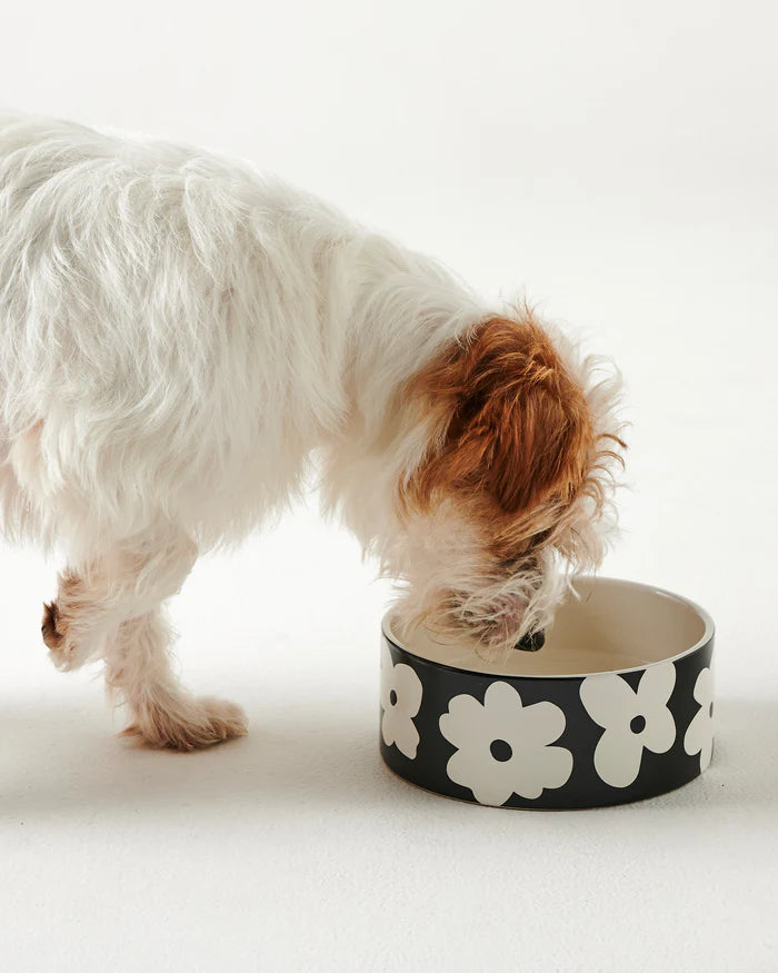 Flower Face Dog Bowl | Kip & Co