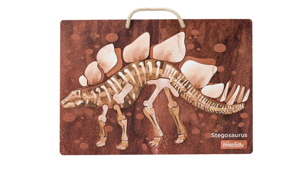 All About Dinosaurs | Mieredu